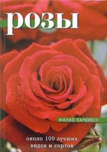 Розы