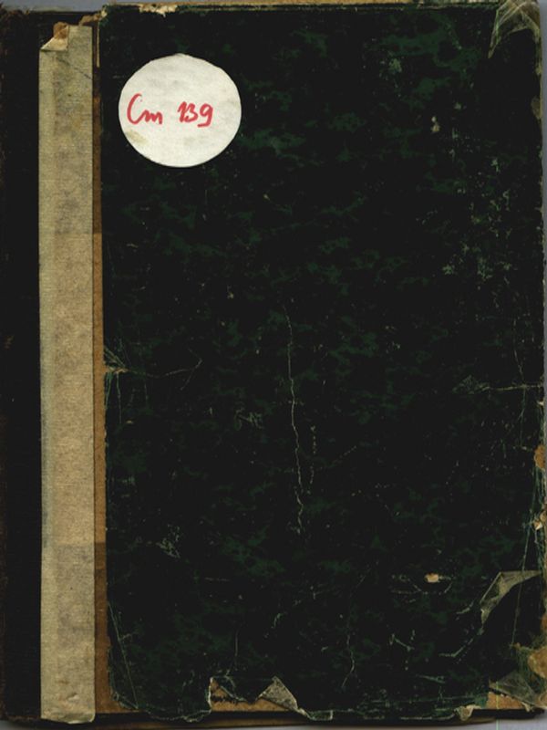 Велислава, българска княгиня