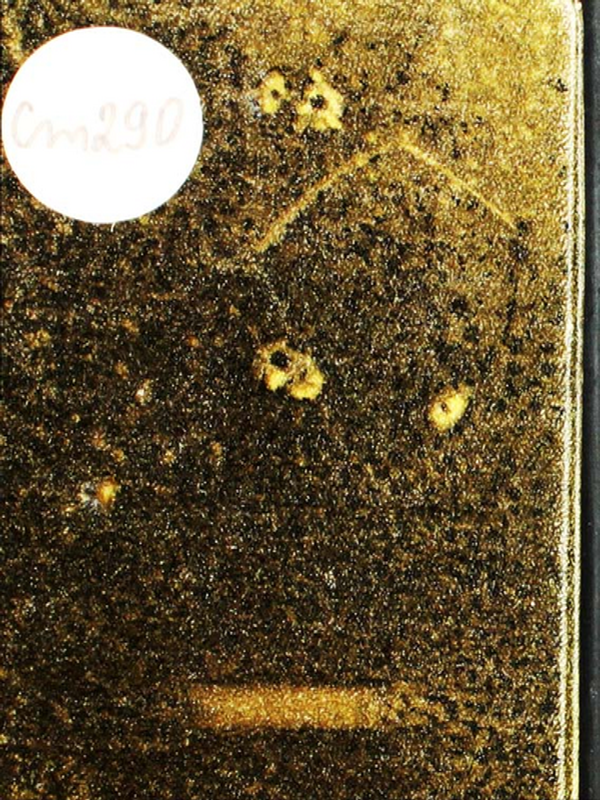 Юности чесное зерцало, или Показание к житейскому обхождению