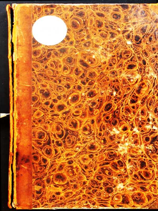 Грамматика языка славянскаго