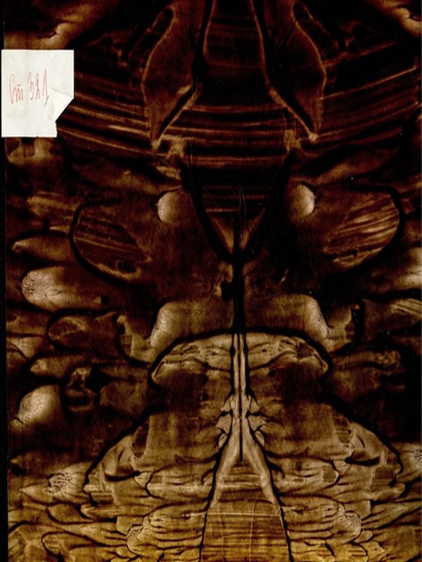 Кратко здравословие или уроци, за да си вардимъ здравието