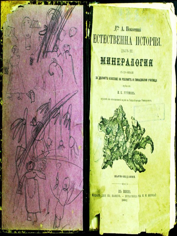 Естествена история