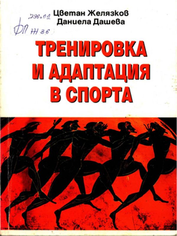 Тренировка и адаптация в спорта