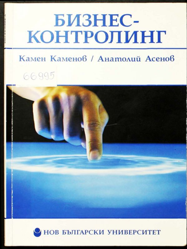 Бизнесконтролинг