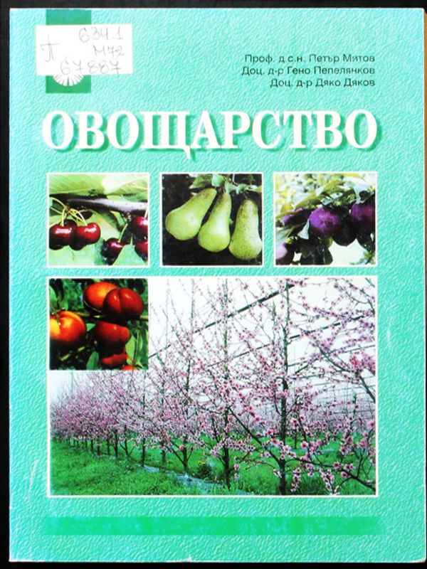 Овощарство