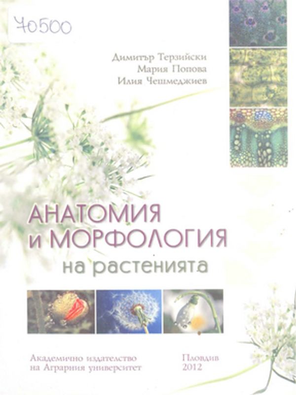 Анатомия и морфология на растенията