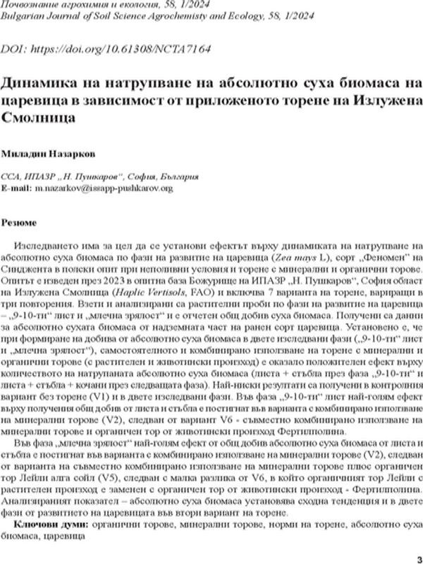 Динамика на натрупване на абсолютно суха биомаса на царевица в зависимост от проложеното торене на Излужена Смолница