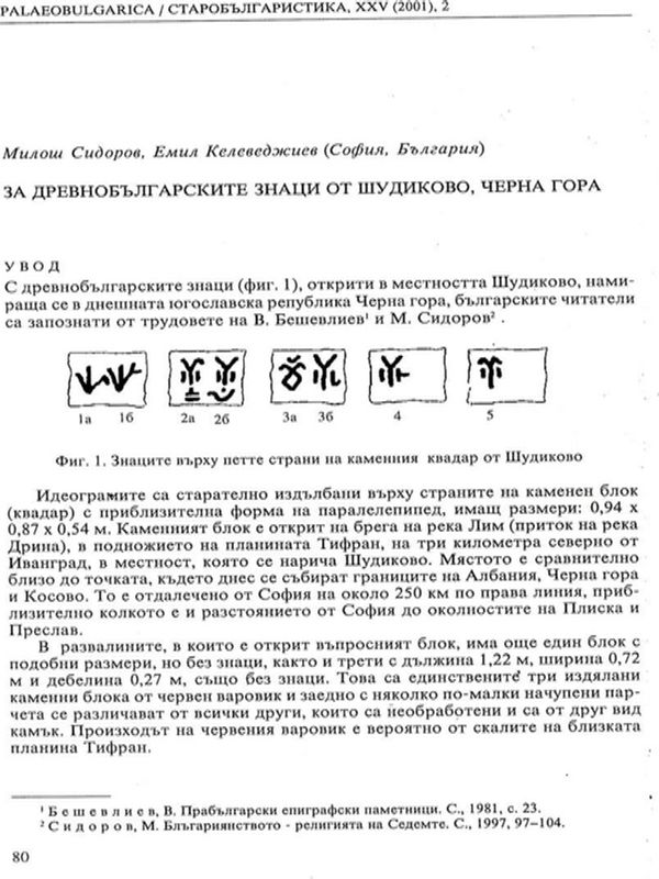 За древнобългарските знаци от Шудиково, Черна гора