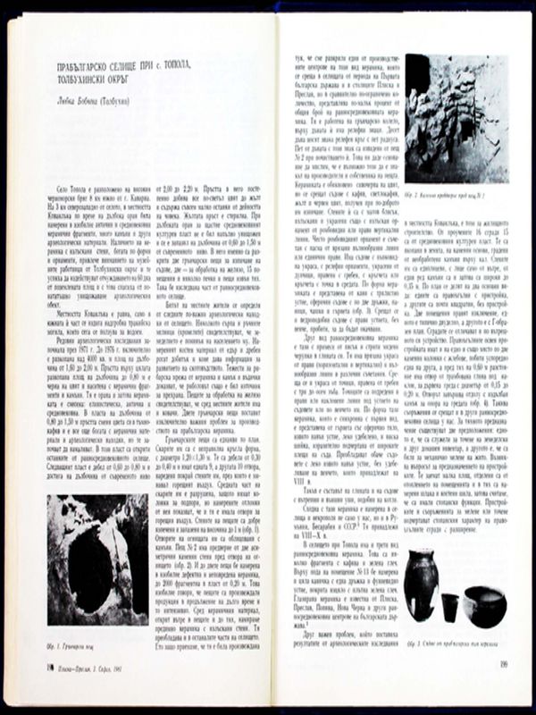 Прабългарско селище при с. Топола, Толбухински окръг