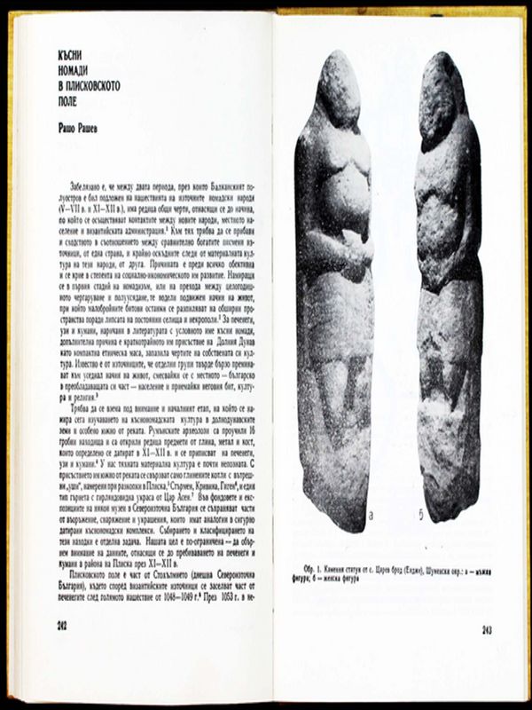 Късни номади в Плисковското поле