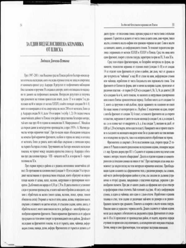 За един вид белоглинена керамика от Плиска