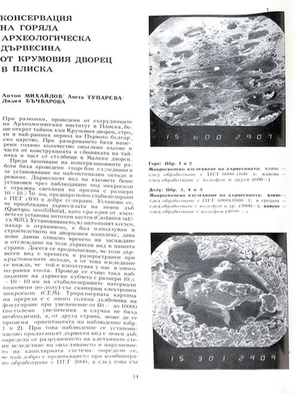 Консервация на горяла археологическа дървесина от Крумовия дворец в Плиска