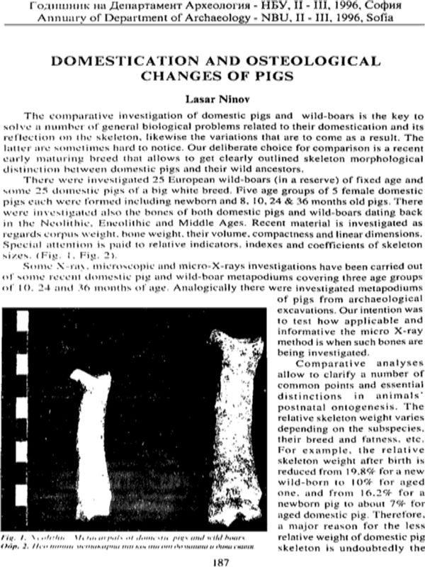 Domestication and osteological chanes of pigs